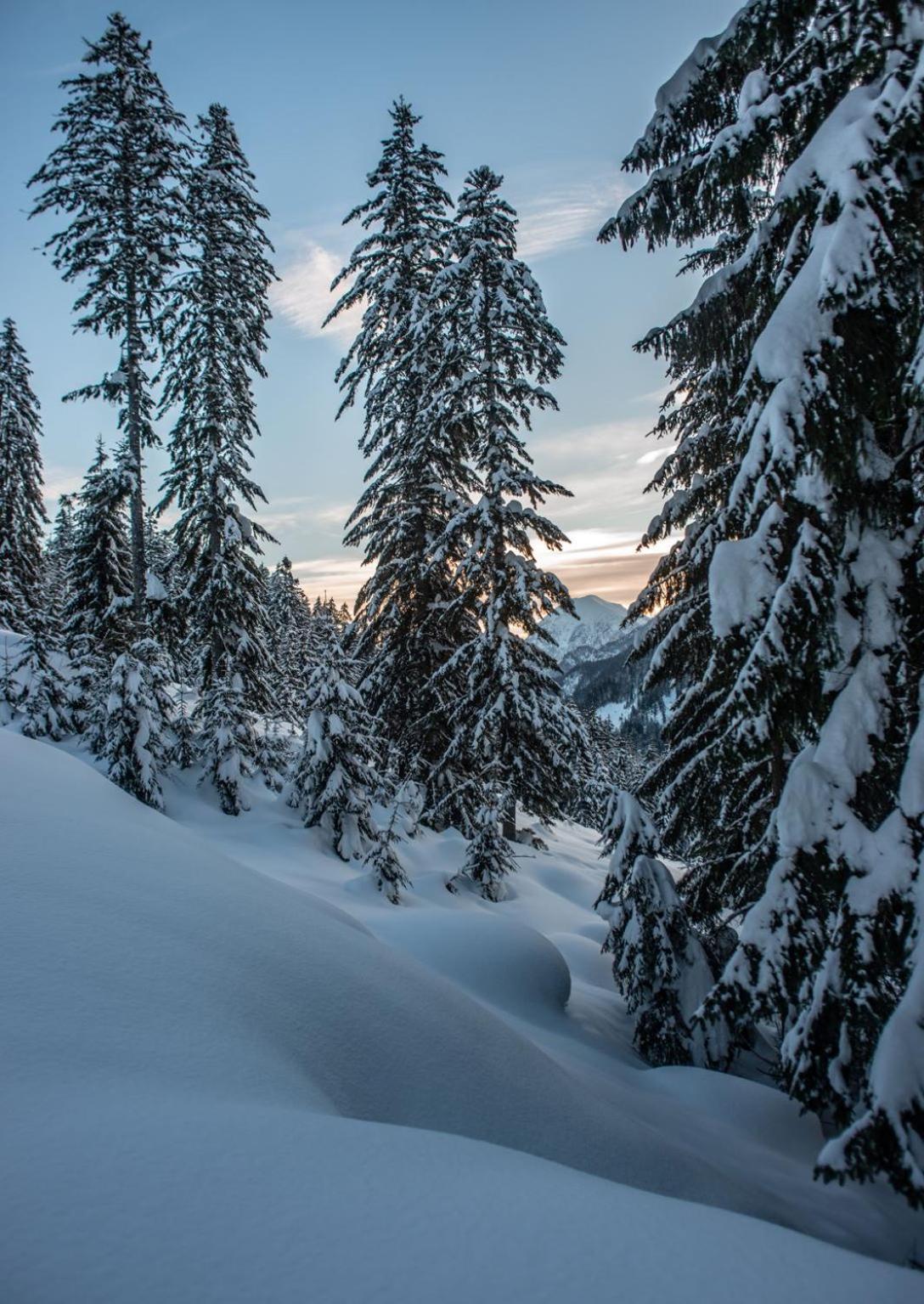 Naturparkresort Geoapartment Gams bei Hieflau Екстериор снимка