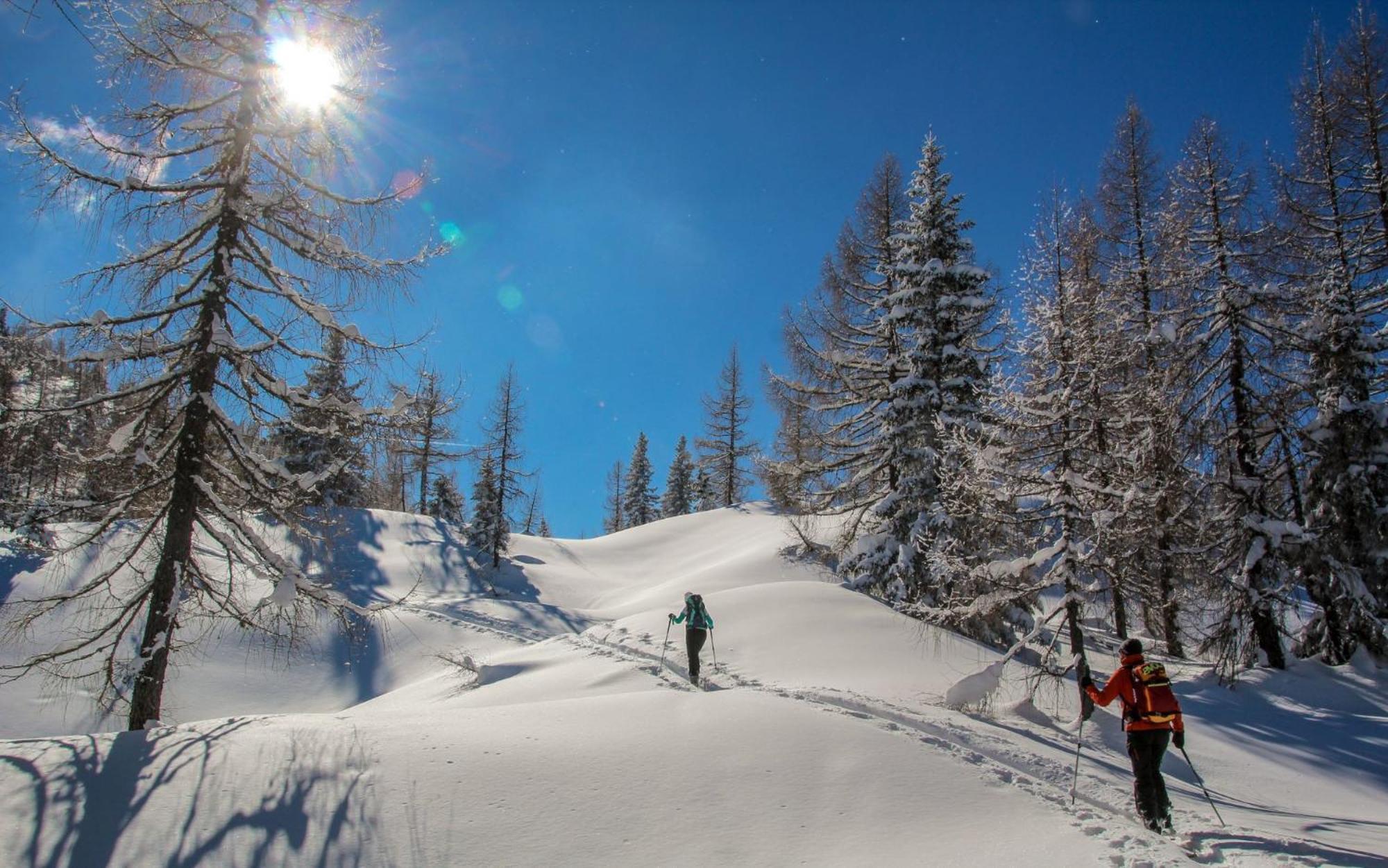 Naturparkresort Geoapartment Gams bei Hieflau Екстериор снимка
